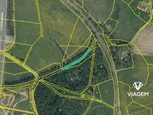 Prodej podílu lesa, Chotoviny, 4063 m2