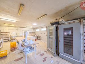 Prodej výrobních prostor, Ostrava, Zákoutí, 170 m2