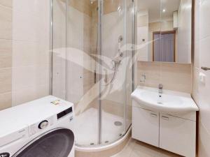 Pronájem bytu 2+1, Plzeň, Elišky Krásnohorské, 60 m2