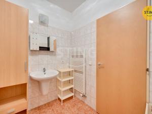 Prodej bytu 1+kk, Olomouc, Družební, 36 m2