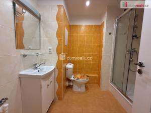 Pronájem bytu 1+kk, Teplice, U divadla, 35 m2