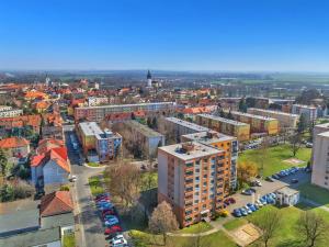 Prodej bytu 1+1, Litoměřice - Předměstí, Družstevní, 40 m2