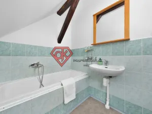 Prodej ubytování, Orličky, 440 m2