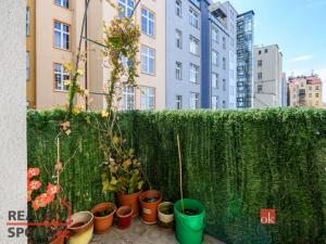 Prodej bytu 2+1, Plzeň, 83 m2