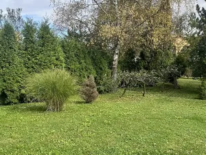 Prodej obchodního prostoru, Ostrava, U Lesa, 297 m2