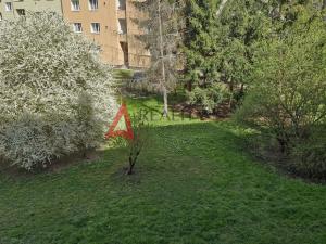 Pronájem bytu 1+1, Olomouc, kpt. Nálepky, 46 m2