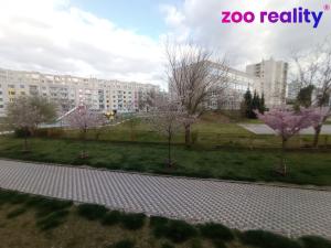 Pronájem bytu 2+1, Pardubice, K Rozvodně, 53 m2