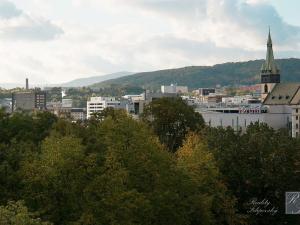 Prodej bytu 2+1, Ústí nad Labem, Kozinova, 52 m2