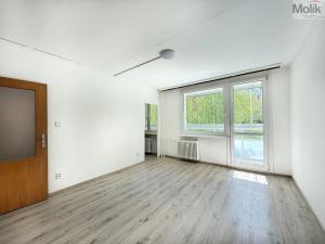 Pronájem bytu 1+1, Most, Moskevská, 27 m2