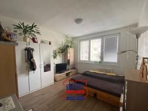 Pronájem bytu 1+kk, České Budějovice, Staroměstská, 25 m2