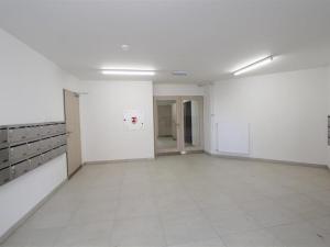 Pronájem bytu 1+kk, Brno, Bělohorská, 40 m2