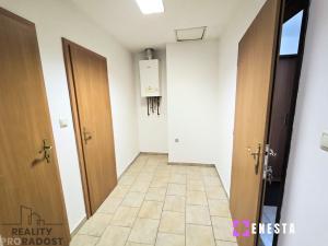 Pronájem bytu 1+kk, Tursko, Ke Statkům, 40 m2