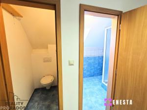 Pronájem bytu 1+kk, Tursko, Ke Statkům, 40 m2