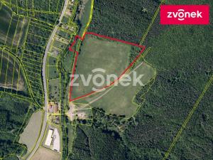 Prodej louky, Šarovy, 44190 m2