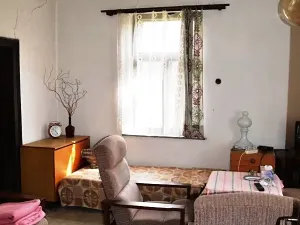 Prodej rodinného domu, Doudleby nad Orlicí, Fűgnerova, 175 m2