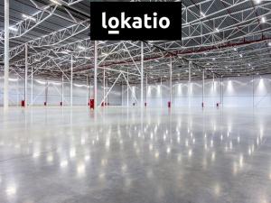 Pronájem skladu, Lužec nad Vltavou, 43000 m2
