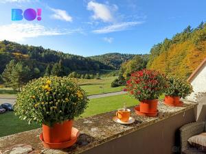 Prodej bytu 2+kk, Všemina, 46 m2