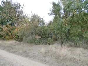 Pronájem zahrady, Znojmo, Leska Horní, 693 m2