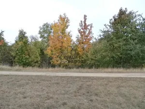 Pronájem zahrady, Znojmo, Leska Horní, 693 m2