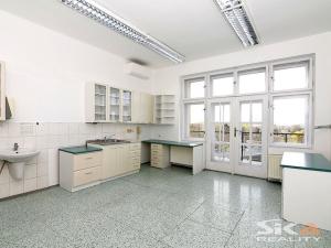 Pronájem komerční nemovitosti, Louny, Sladovnická, 98 m2