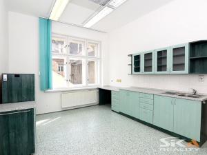 Pronájem komerční nemovitosti, Louny, Sladovnická, 98 m2