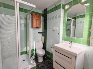 Pronájem bytu 1+1, Ústí nad Labem - Klíše, Masarykova, 46 m2