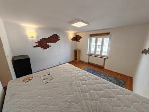 Pronájem bytu 1+1, Ústí nad Labem - Klíše, Masarykova, 46 m2