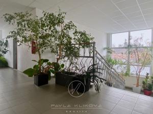 Pronájem kanceláře, Plzeň, V Hliníku, 16 m2