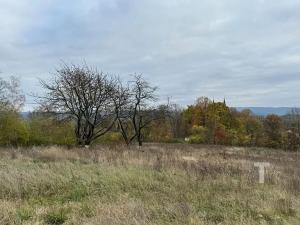 Prodej pozemku pro bydlení, Suchý, 12680 m2