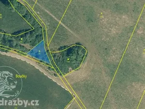 Dražba pozemku, Nalžovské Hory, 501 m2