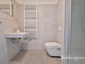 Pronájem bytu 1+kk, Brno, Střední, 32 m2