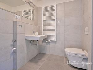 Pronájem bytu 1+kk, Brno, Střední, 32 m2