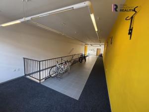 Pronájem obchodního prostoru, Šumperk, Gen. Svobody, 183 m2