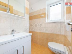 Pronájem rodinného domu, Dnešice, 62 m2
