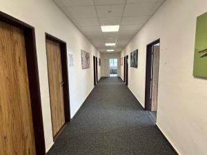 Pronájem výrobních prostor, Ostrava - Kunčice, Frýdecká, 225 m2