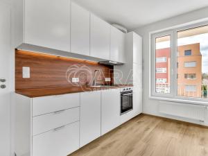 Pronájem bytu 1+kk, Praha - Černý Most, Dobrovolného, 41 m2