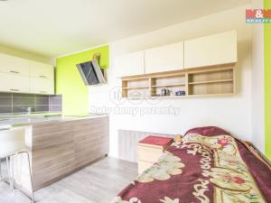 Prodej chaty, Třebívlice - Dřevce, 40 m2