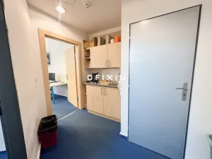 Pronájem kanceláře, Brno - Brno-město, Starobrněnská, 141 m2