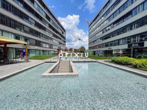 Pronájem obchodního prostoru, Brno - Staré Brno, Nové sady, 942 m2