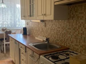 Pronájem bytu 2+1, Třebíč - Nové Dvory, Fr. Hrubína, 52 m2
