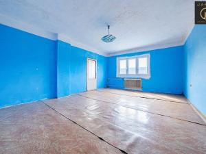 Prodej rodinného domu, Lubenec - Ležky, 220 m2
