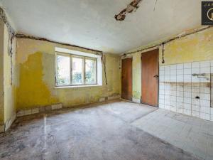 Prodej rodinného domu, Lubenec - Ležky, 220 m2