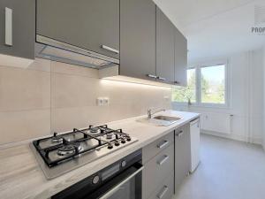 Pronájem bytu 2+1, Brno, Jírovcova, 62 m2