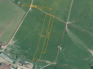 Dražba pole, Čížkov, 26931 m2