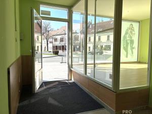 Pronájem obchodního prostoru, Hodonín, Národní třída, 62 m2