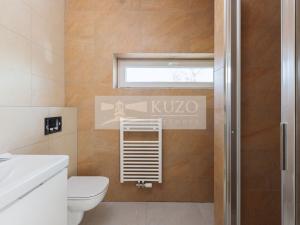 Pronájem rodinného domu, Mladá Boleslav - Debř, Láskov, 164 m2