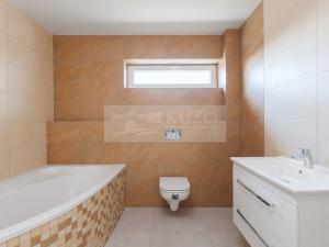 Pronájem rodinného domu, Mladá Boleslav - Debř, Láskov, 164 m2