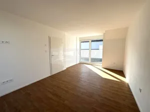 Pronájem rodinného domu, Mladá Boleslav - Debř, Láskov, 164 m2