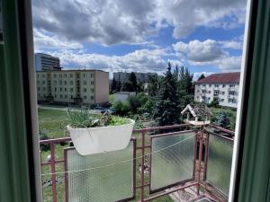Prodej bytu 3+1, Pardubice - Bílé Předměstí, Sezemická, 73 m2