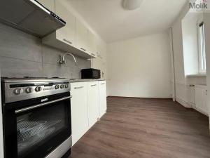 Prodej bytu 3+1, Litvínov - Chudeřín, Horská, 58 m2